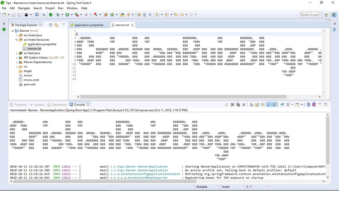 Spring Boot Banner Txt